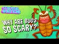 Understanding Our Fear of Bugs