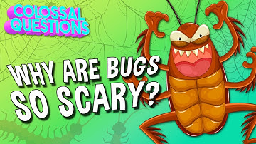 Why Are Bugs So Scary? | COLOSSAL QUESTIONS