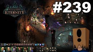 Lets Play Pillars of Eternity #239: Exploring Lle a Rhemen