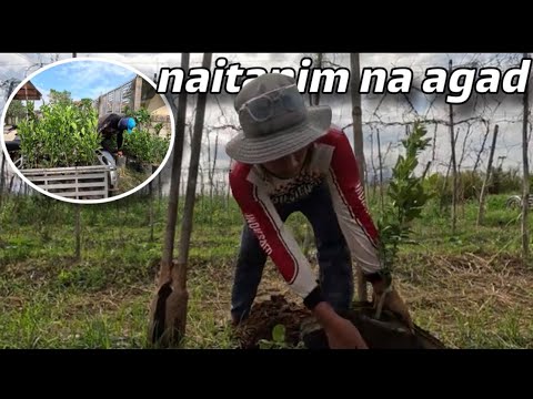 aesthetic warning ⚠️⚠️⚠️⚠️⚠️⚠️😍😍😍😍😍😍😍✨✨✨✨✨✨✨✨✨