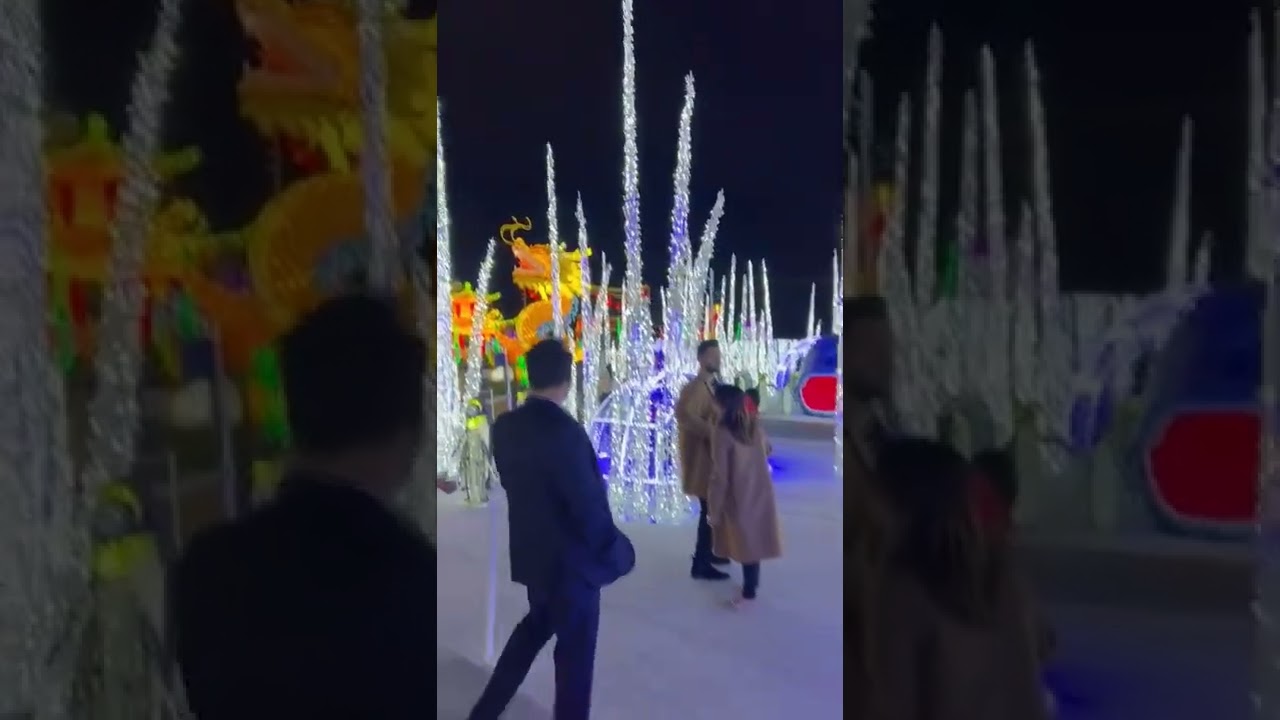 canada lighting show
