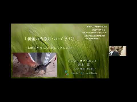 馬の環骨腫の原因と治療法を解説！飼い主が知るべきこと