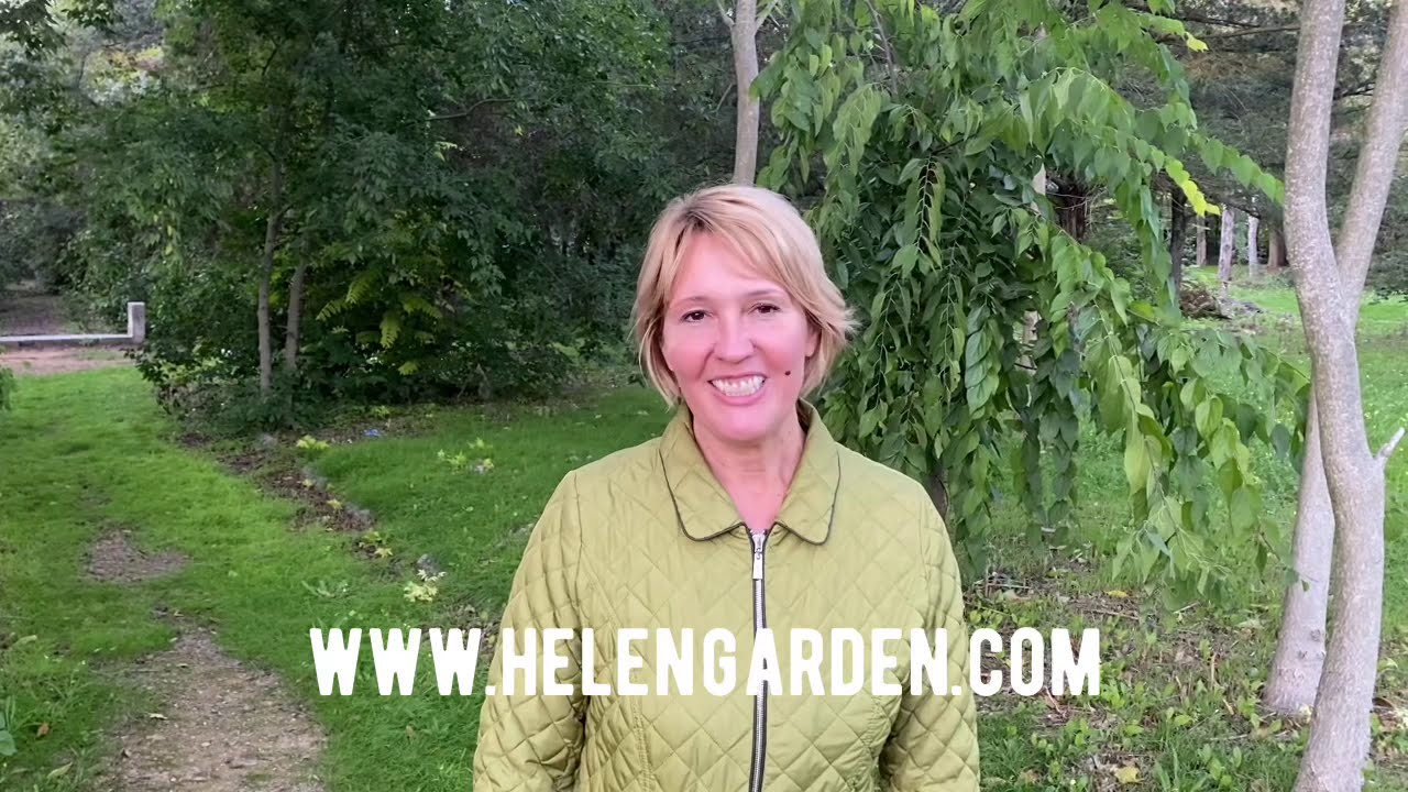 Елена Удалова о секретах ландшафтного дизайна - YouTube