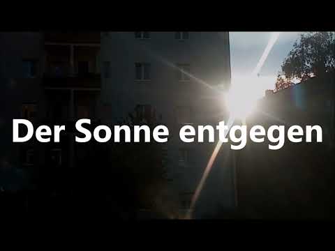 Ben Zucker - Der Sonne entgegen (Lyrics)