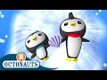 Octonauts - The Great Penguin Race | Cartoons for Kids | Underwater Sea Education