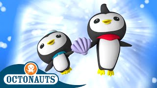 Octonauts - The Great Penguin Race | Cartoons for Kids | Underwater Sea Education