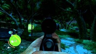 Far Cry 3 - No Crosshairs on Scope.