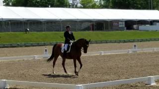 Sulley third level test 3 HITS 64%