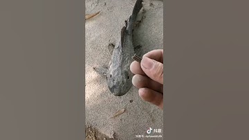 سبحان الله .. {وَجَعَلْنَا مِنَ الْمَاءِ كُلَّ شَيْءٍ حَي} - سورة الأنبياء - الآية (30)