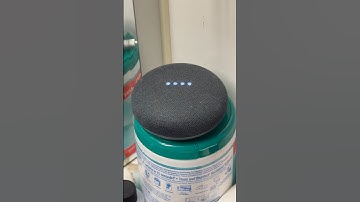 One of the Many Ways You Can Get Your Google Assistant To Curse