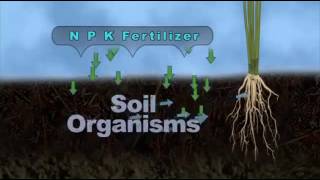 Best Farming System - Foliar Fertilizer