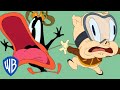 Looney Tunes en Latino | Paracaídas desastroso | WB Kids