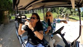 Behind The Gardens In Arcadia: Conservation, History, And Crescent Farm