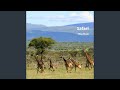 Safari Safari