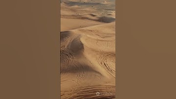 The Ultimate Kings of the Dunes: Land Cruisers