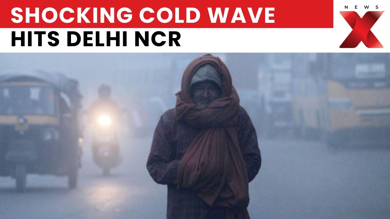 How Is the North India Cold Wave Affecting Delhi NCR Residents Daily?