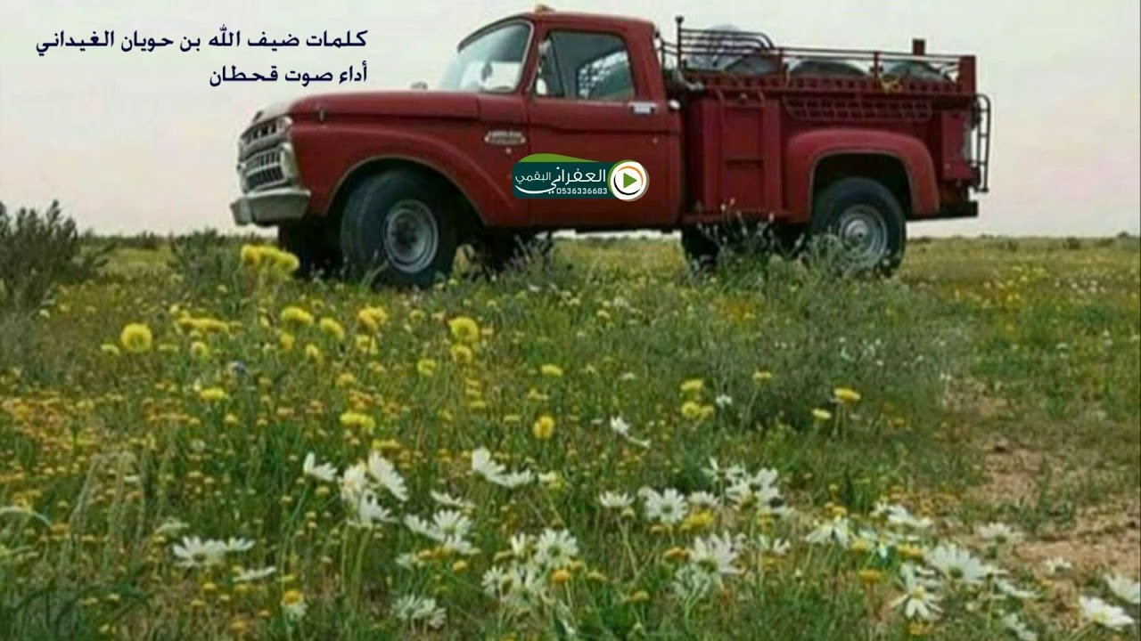 شيلة يا تل قلبي تلة عبيد للهاف كامله سته ابيات كلمات ضيف الله بن حويان الغيداني اداء صوت قحطان