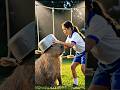 Capi foi desafiada no torneio de cordaa #capivara