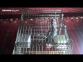جدة كذا أهلي وبحر الطير المعجزة 2