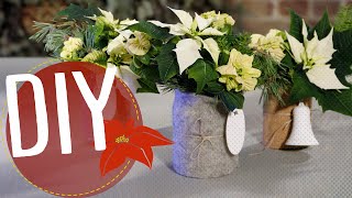 Diy Met Kerststerren Nel & Makkelijk - Winterse Boeketen In Een Pot Mypoinsettia