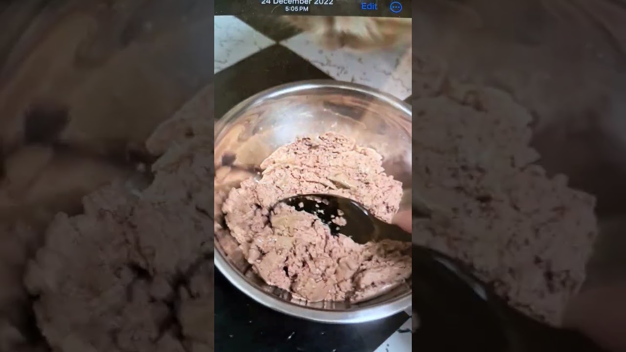 First time eating a wet food! 