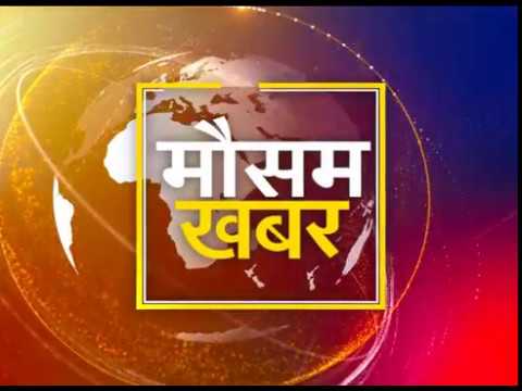 मौसम खबर Promo dairy cow