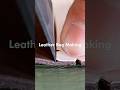Making a Leather Bag: The Cut / レザーバッグ製作：裁断編 #shorts