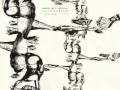 Nurse with Wound - The strange play of the mouth.wmv