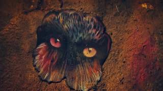 Download Lagu Galantis - No Money (Official Video) Fernando507LiveMusic MP3