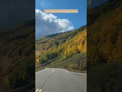 Amazing Fall Foliage Scenic Drive in Colorado