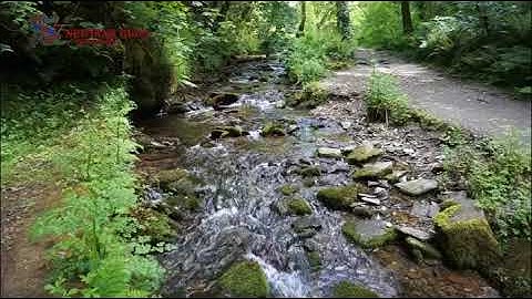 St Nectans Glen - woodland walk