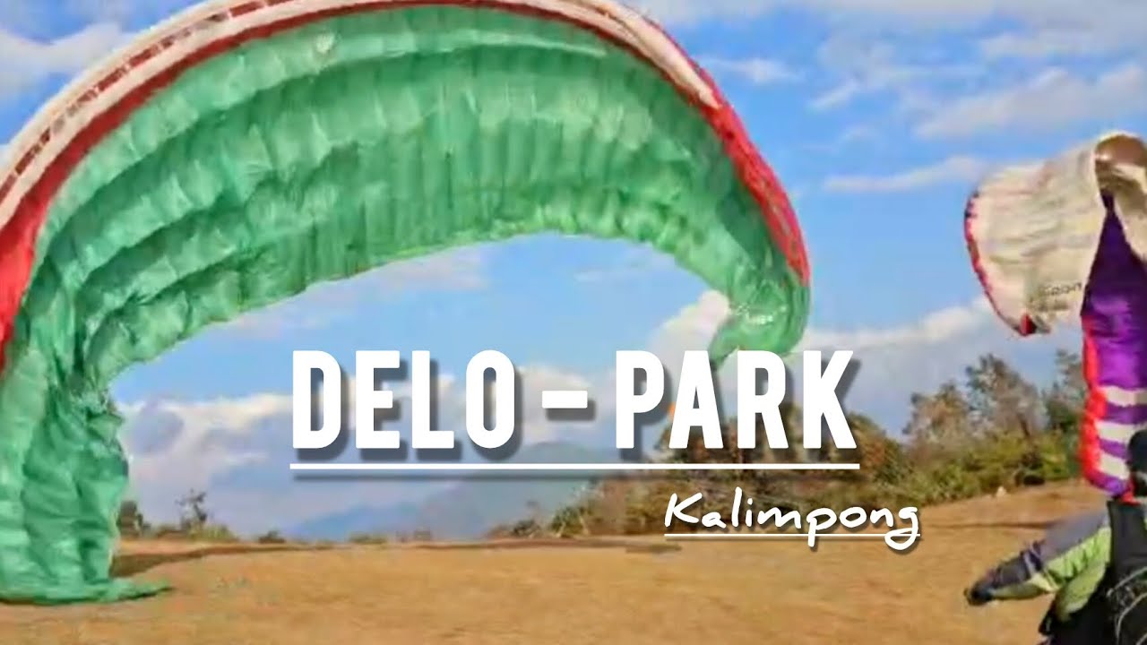 Playful and Adventurous - DELO | Kalimpong #darjeeling #travel #trending #video #viralshorts 