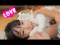 お勉強終了を退屈しながら待って小学生女子に甘えるモフ猫