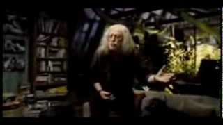 New Funni Meme Zen Music To Funni Unfitting Music Xd