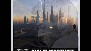 Walid Martinez   Guitarro