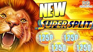 ‼️HOW MANY TIMES CAN WE SPLIT ON THIS NEW SLOT SUPER SPLIT WILD LIONS 福來運旺 LION BRING BIG MONEY
