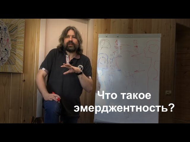 Что такое эмерджентность?