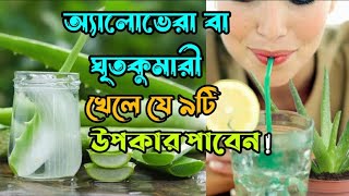 অ্যালোভেরা বা ঘৃতকুমারী খেলে যে ৯টি উপকার পাবেন || 9 Benefits of Aloe Vera || Medicinal plants