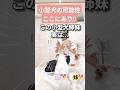 かわいいだけじゃだめかしら #犬 #あいちゃん #shorts