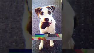 Waching Your Back – emc #fürdich #deutschrap #toxischebeziehung #emotionalegewalt #empathie