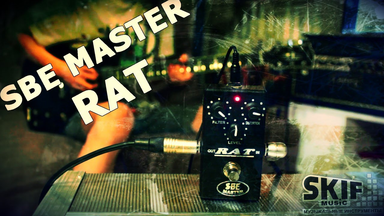 Retrain Your Brain | SBE MASTER Rat | SKIFMUSIC
