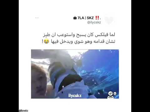 لما فليكس كان يسبح واستوعب ان ط ز تشان وهو شوي ويدخل فيها
