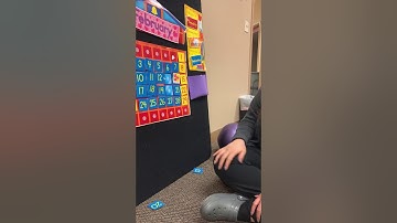 Differential Reinforcement of Other Behaviors (DRO) Video Model