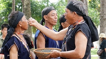 Lễ Mừng Lúa Mới của Làng Ba Na Tờ Mật, xã Đông, huyện KBang | DI SẢN VĂN HÓA