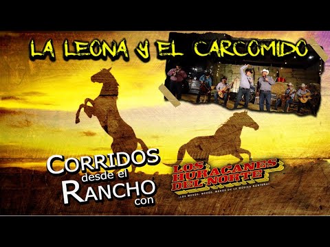 Watch the video for La leona y el carcomido