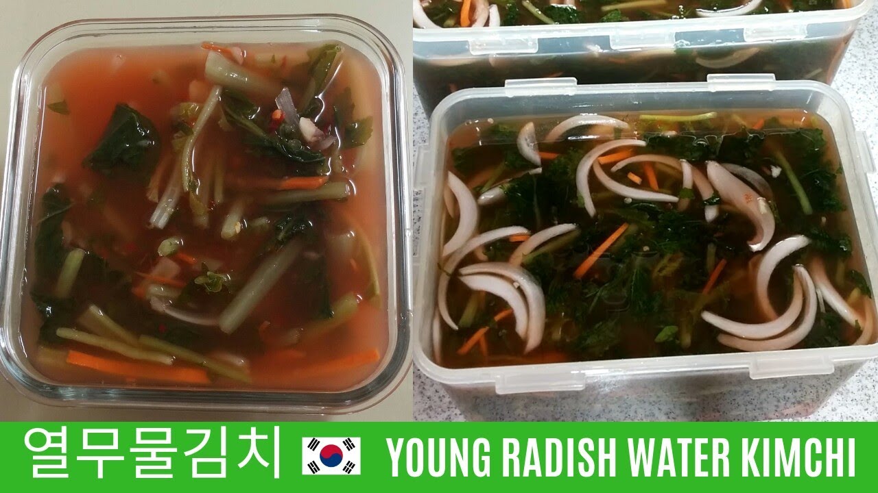 어머님 만든 열무물김치 🇰🇷 Young radish water Kimchi YouTube