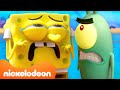 ٦٠ دقيقة من سبونج بوب ضد المتنمرين في كامب كورال كامب كورال Nickelodeon Arabia