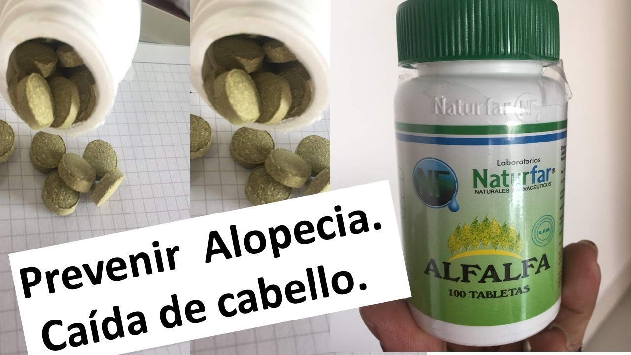 Capsulas de alfalfa para bajar de peso