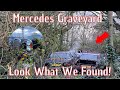 We Explore This Mercedes Benz Graveyard And Found Some Incredible Cars!