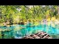 Calm Your Mind With Beautiful Relaxing Music & Beautiful Nature for Insomnia Relief and Meditation